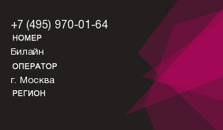 4959700164